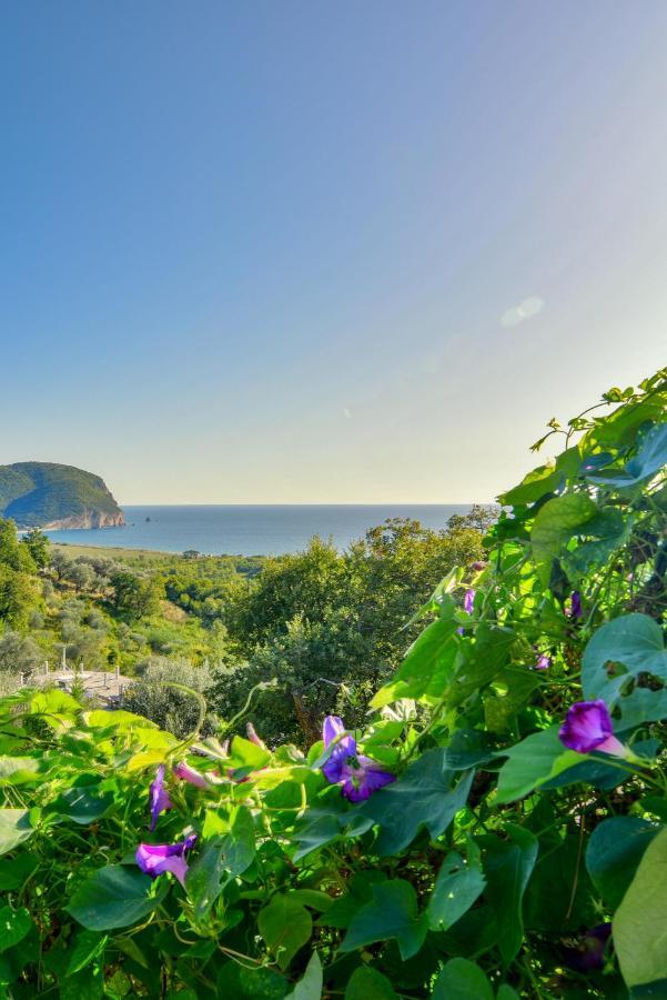 Pataki Studios Petrovac Exterior photo