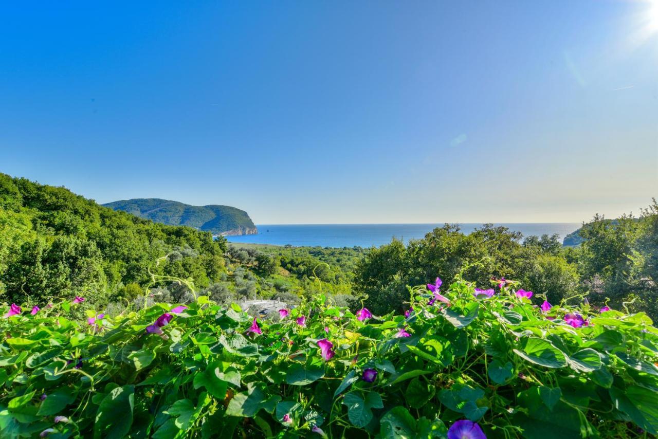 Pataki Studios Petrovac Exterior photo