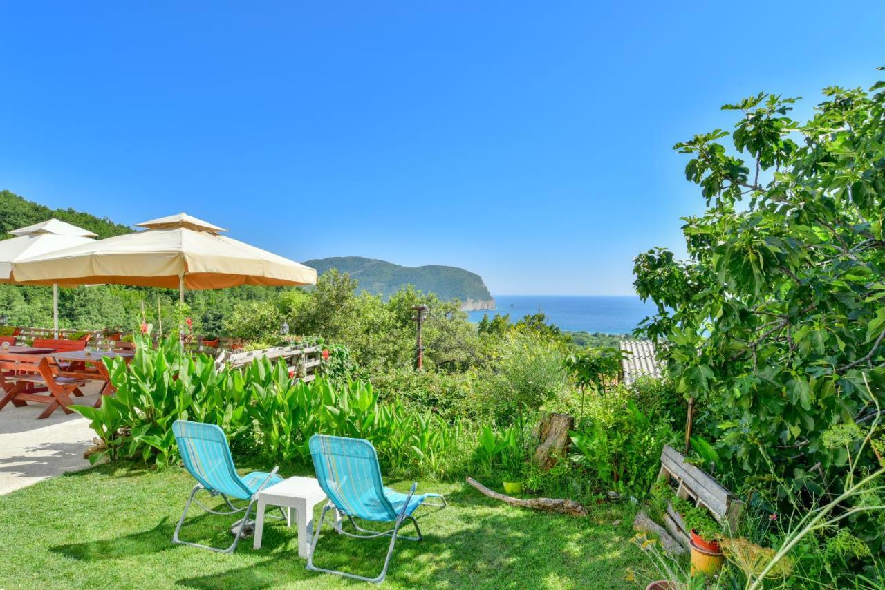 Pataki Studios Petrovac Exterior photo