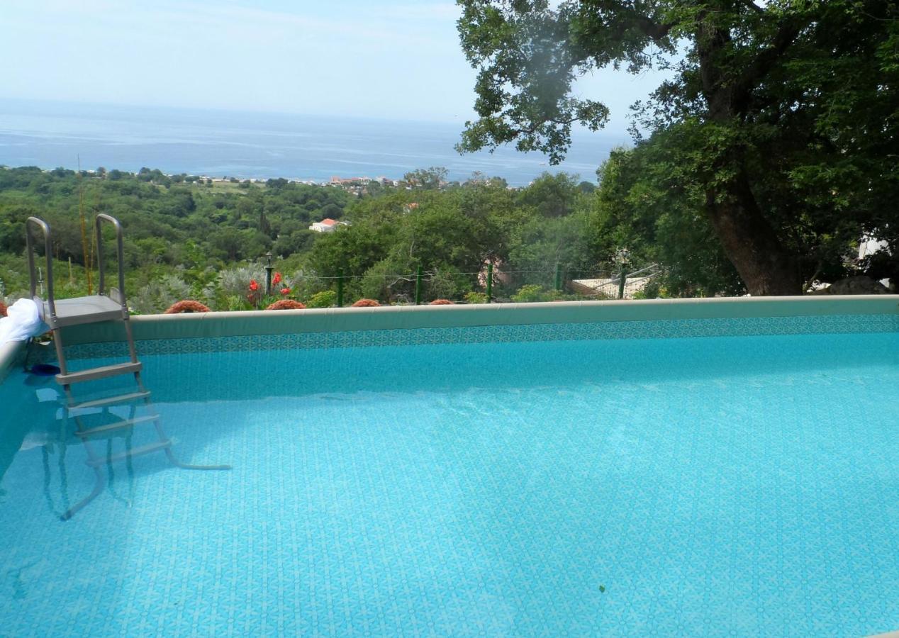 Pataki Studios Petrovac Exterior photo
