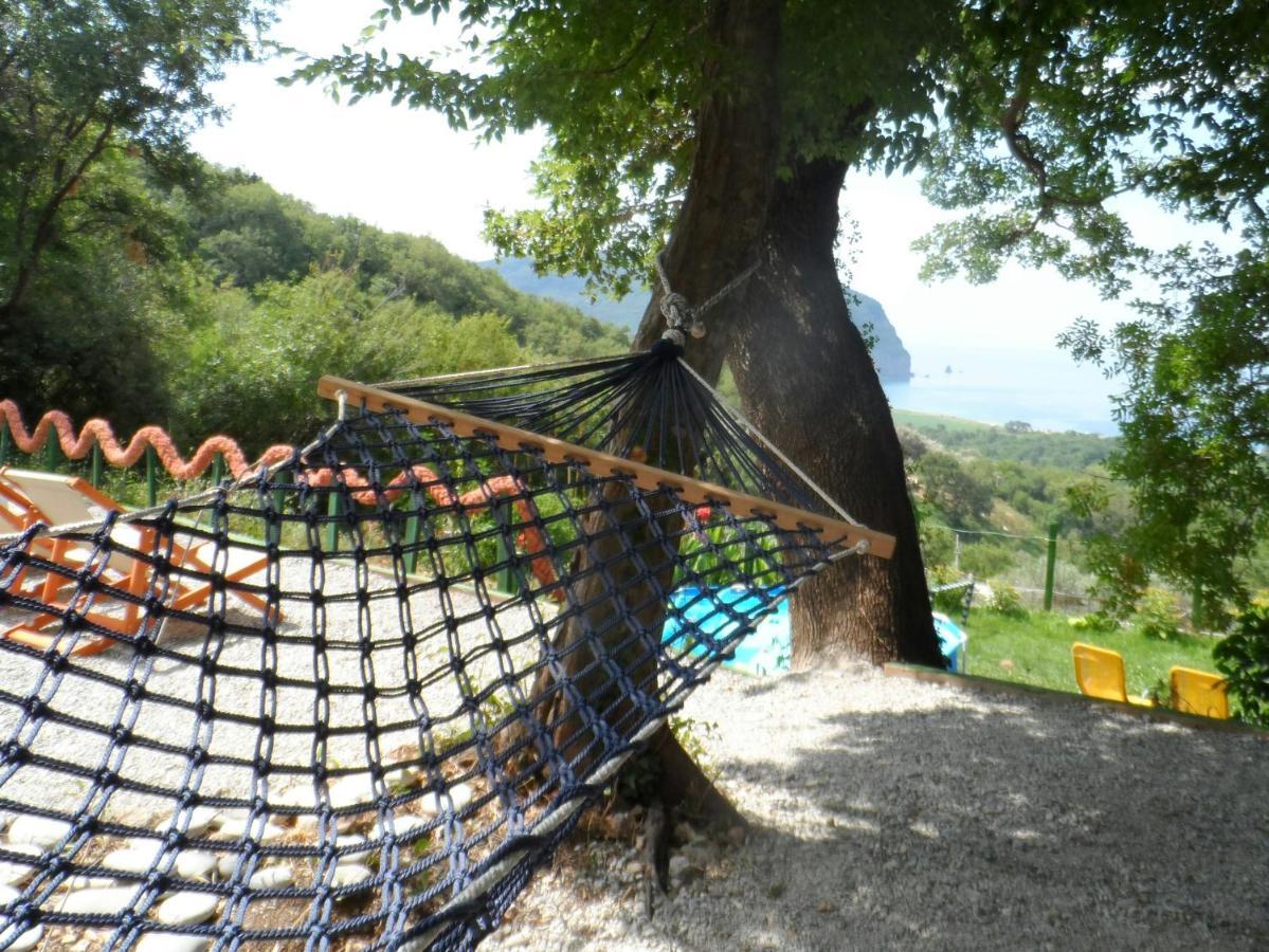 Pataki Studios Petrovac Exterior photo