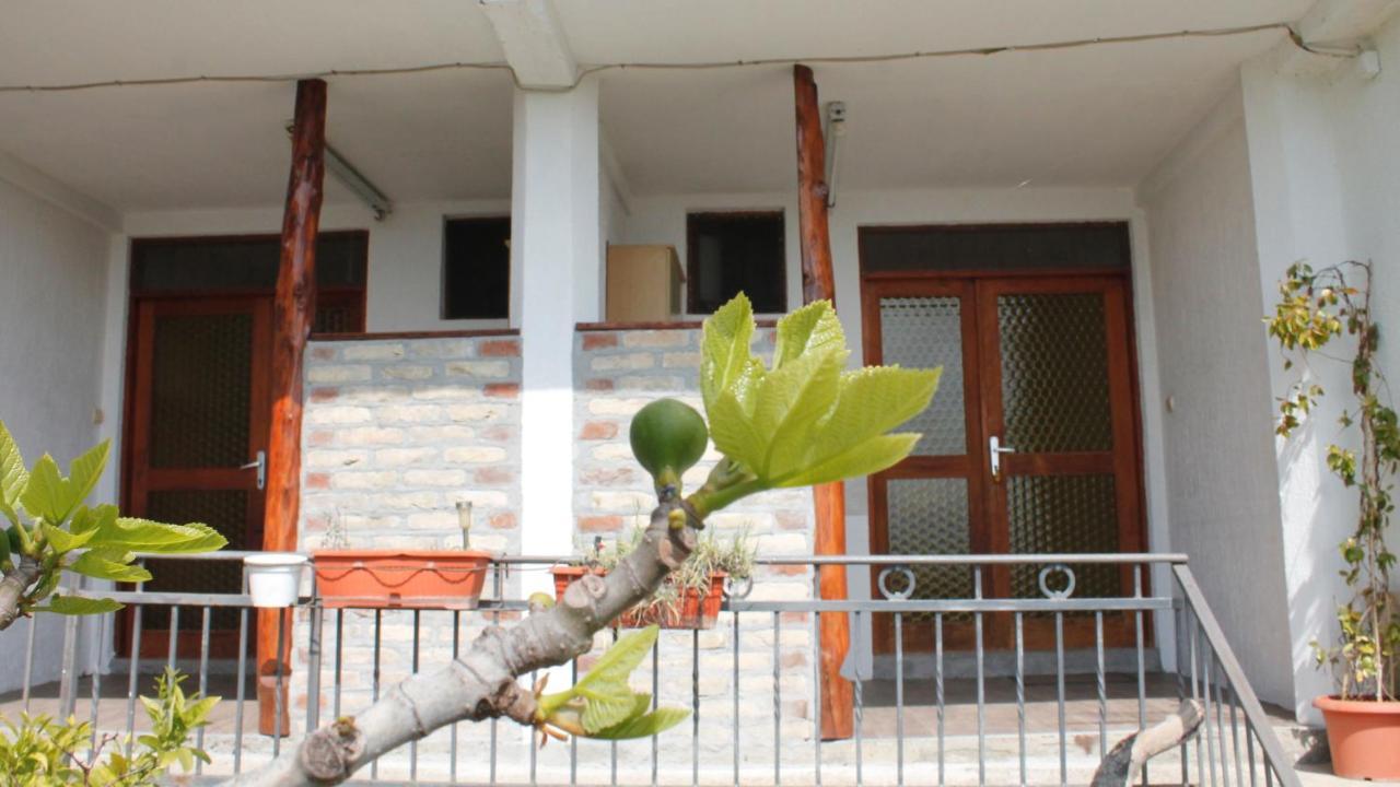 Pataki Studios Petrovac Exterior photo